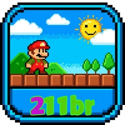 211br